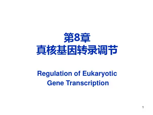 第8章 真核生物基因的表达调控