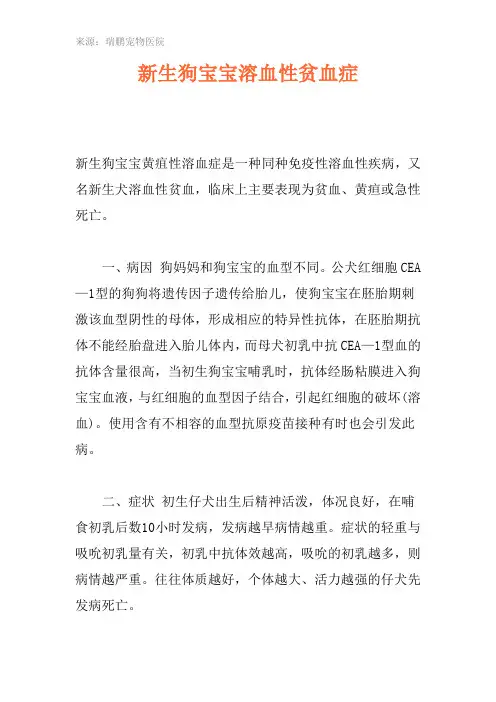 新生狗宝宝溶血性贫血症