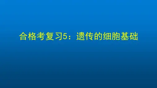 高一生物学人教版必修2合格考复习5：遗传的细胞基础