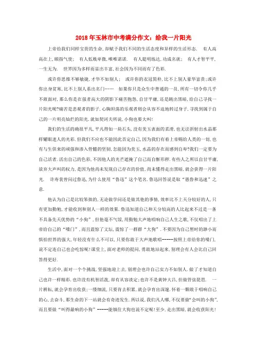 最新-广西玉林市2018年中考语文满分作文 给我一片阳光素材 精品
