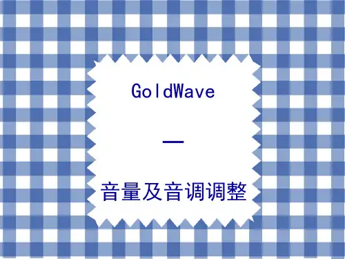 Goldwave音量及音调调整