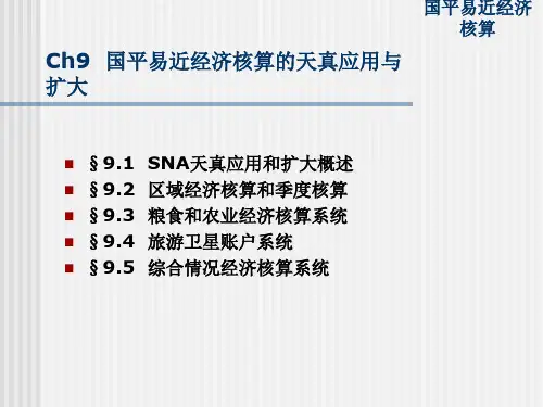 ch09国民经济的灵活运用与扩展