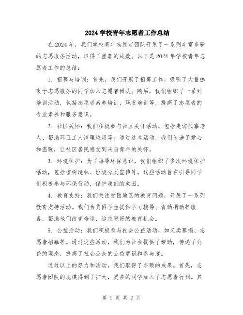 2024学校青年志愿者工作总结