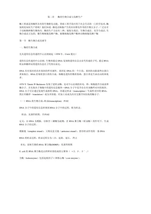 第二章   酶的生物合成与发酵生产