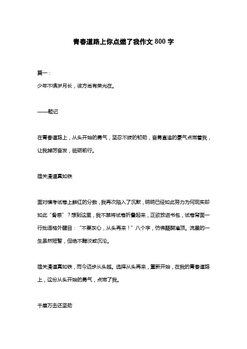青春道路上你点燃了我作文800字