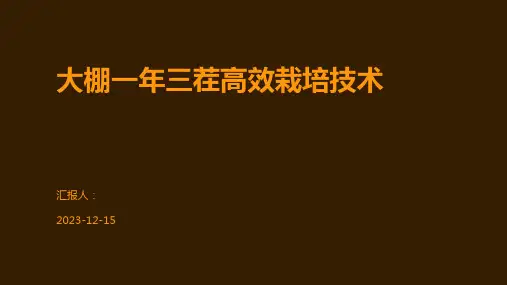 大棚一年三茬高效栽培技术