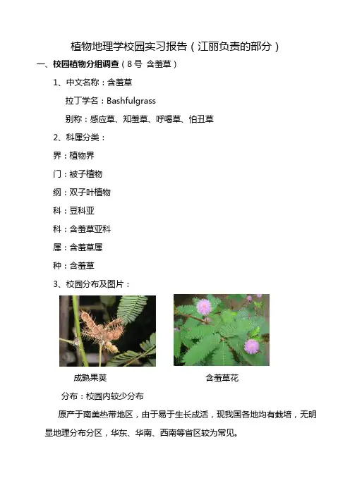 植物地理学校园实习报告