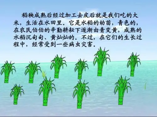 18小稻秧脱险记第一课时PPT