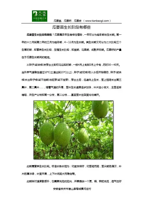 瓜蒌苗生长阶段有哪些