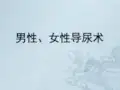 男性及女性导尿术ppt课件