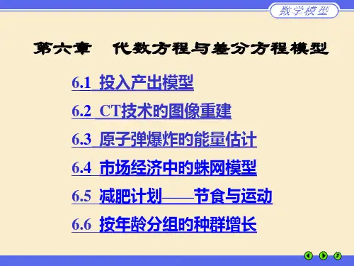 M06代数方程与差分方程模型市公开课获奖课件省名师示范课获奖课件