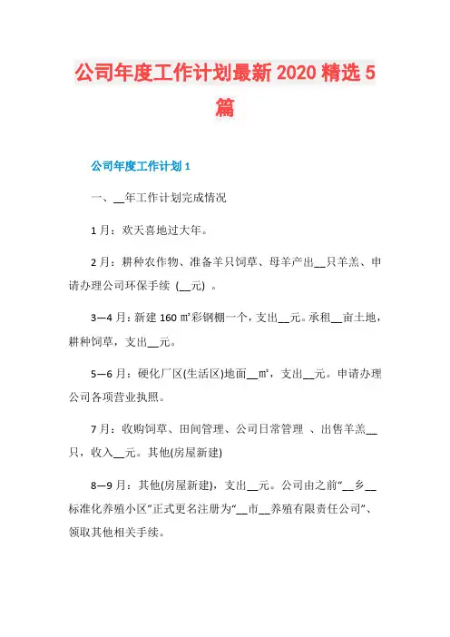 公司年度工作计划最新2020精选5篇