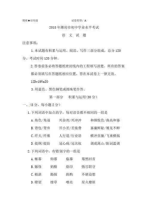 山东省潍坊市2018年中考语文试题
