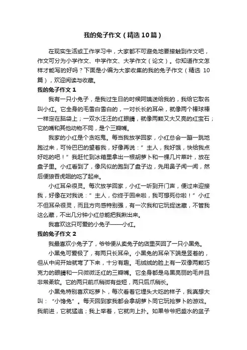 我的兔子作文（精选10篇）
