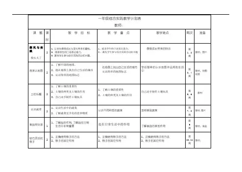 一年级下册综合实践教学计划表