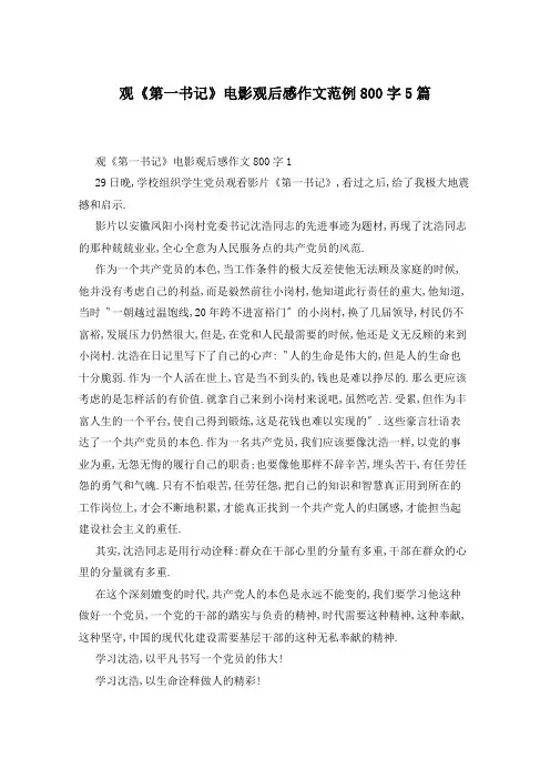 观《第一书记》电影观后感作文范例800字5篇