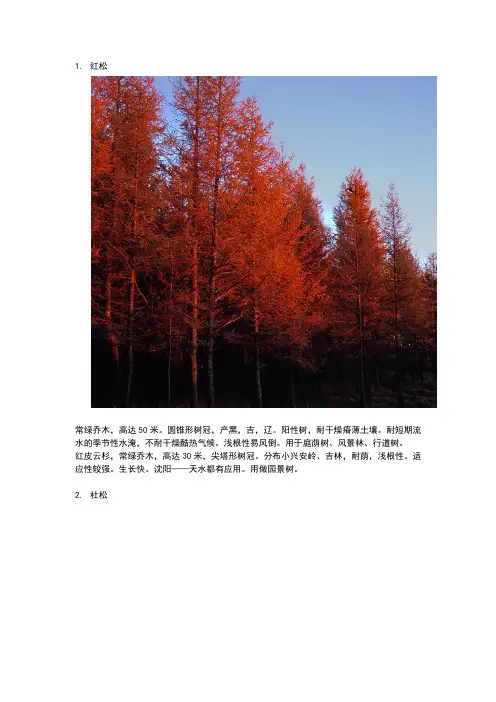 东北常用的30种景观植物