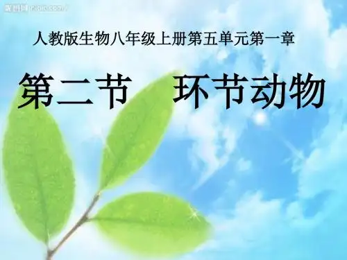 初中生物八年级上册第五单元第一章第二节 线形动物和环节动物21张ppt