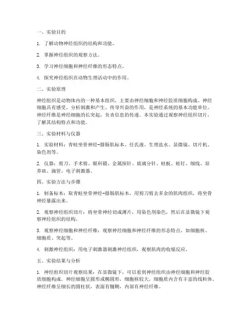动物神经组织实验报告