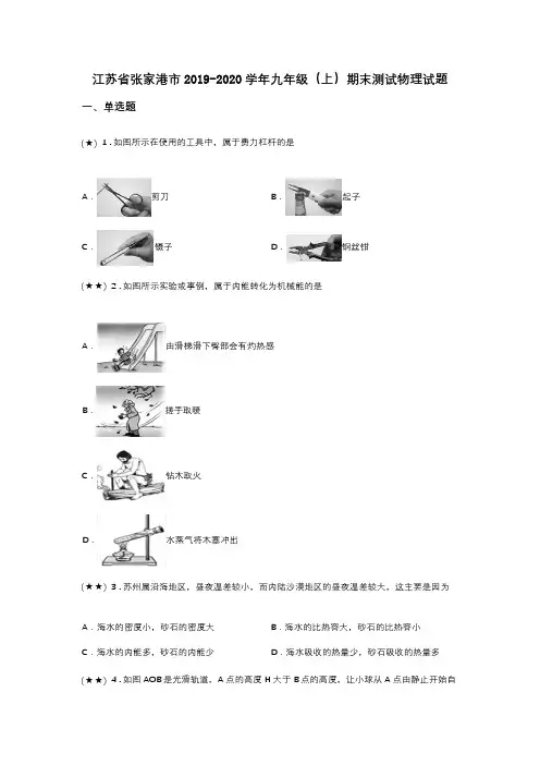 江苏省张家港市2019-2020学年九年级(上)期末测试物理试题(word无答案)