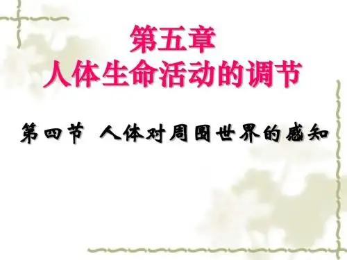 人体对周围世界的感知