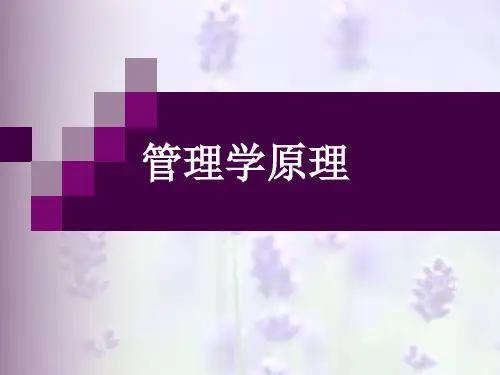 管理学原理培训教材(PPT 28页)