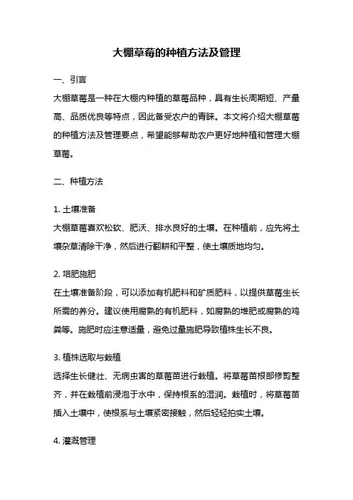 大棚草莓的种植方法及管理