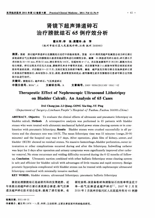 肾镜下超声弹道碎石治疗膀胱结石65例疗效分析