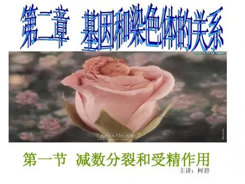 第一节减数分裂和受精作用