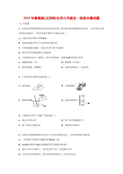 2023-2024学年鲁教版(五四制)化学九年级全一册综合测试题(2)