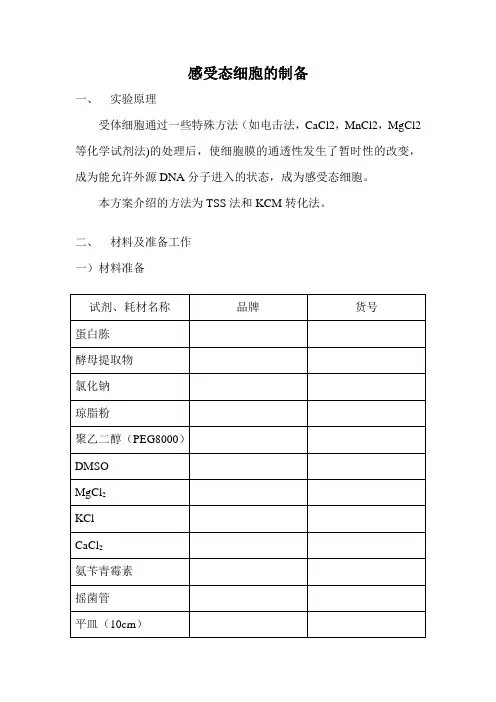 高效感受态细胞的制备