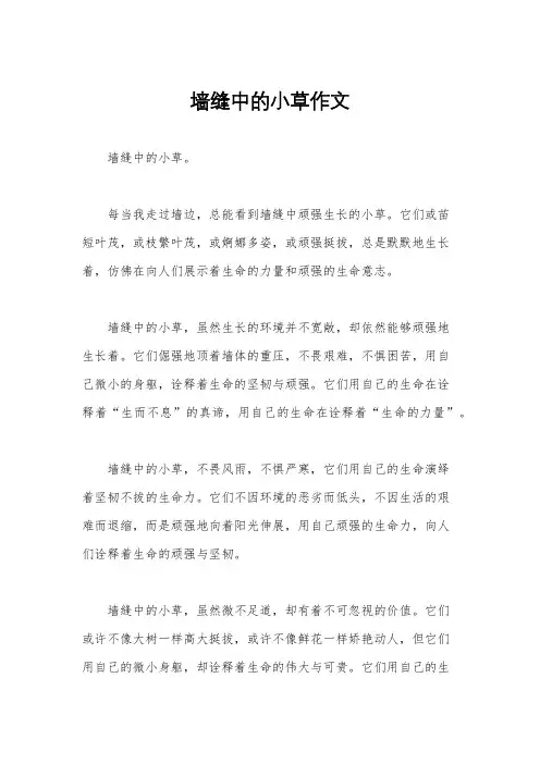 墙缝中的小草作文