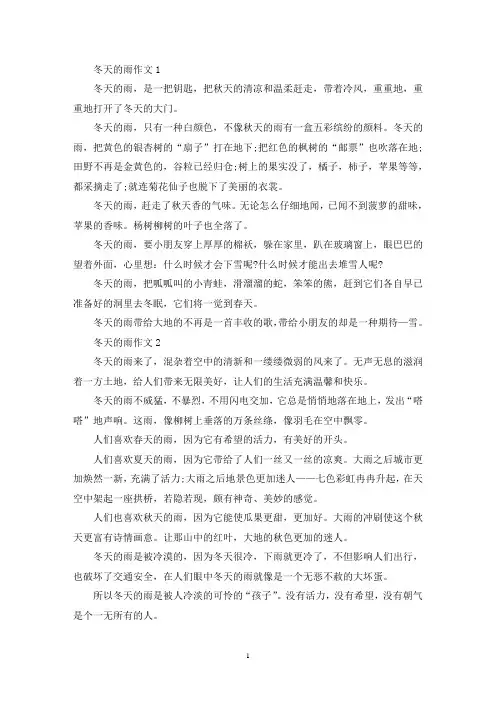 冬天的雨作文范文六篇