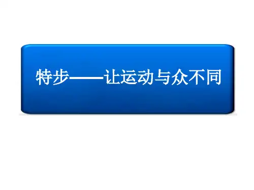 特步品牌调研