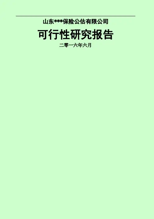保险公估公司可行性研究报告