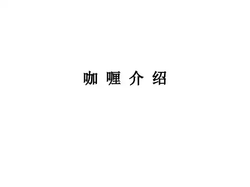 咖喱介绍