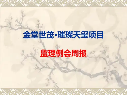 监理例会周报