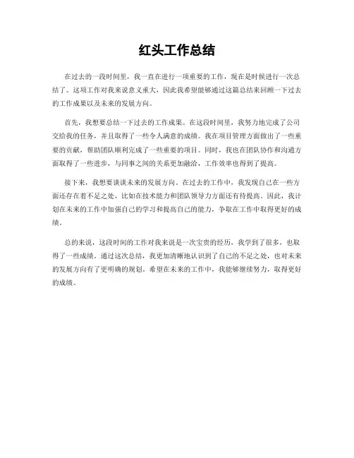 红头工作总结