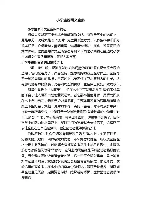 小学生说明文企鹅四篇精选