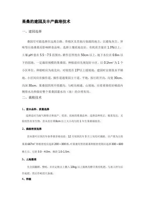 果桑的建园及丰产栽培技术