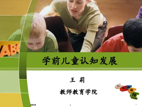 儿童认知发展理论ppt课件