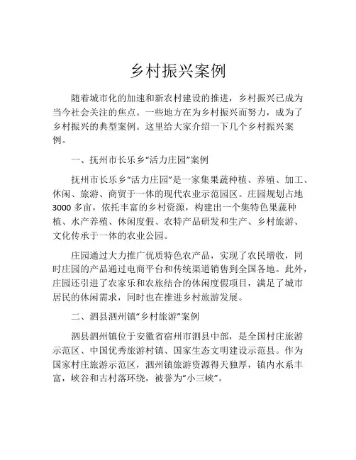 乡村振兴案例