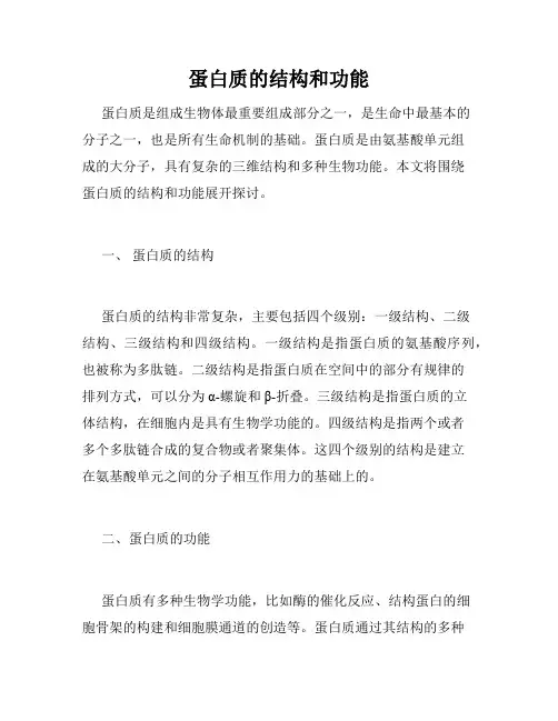 蛋白质的结构和功能