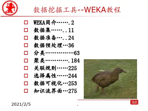 WEKA中文详细教程PPT课件