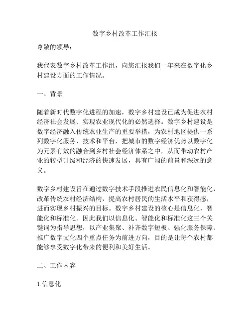 数字乡村改革工作汇报