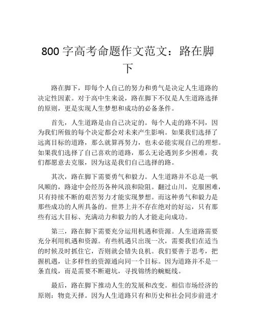 800字高考命题作文范文：路在脚下