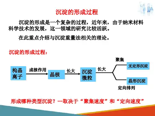 沉淀的形成过程及影响因素(应用化学课件)