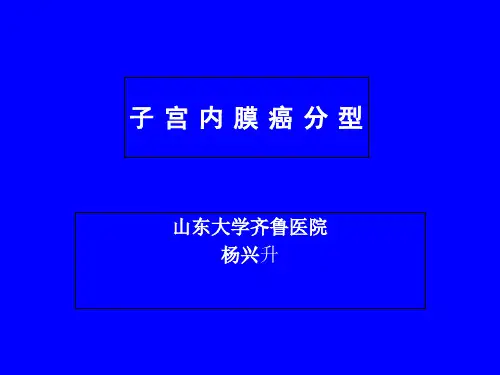 子宫内膜癌分型ppt课件