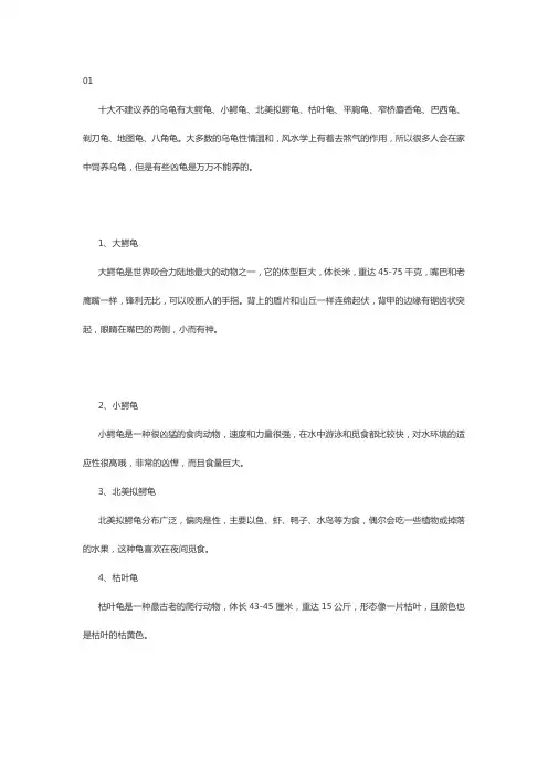 十大不建议买的龟