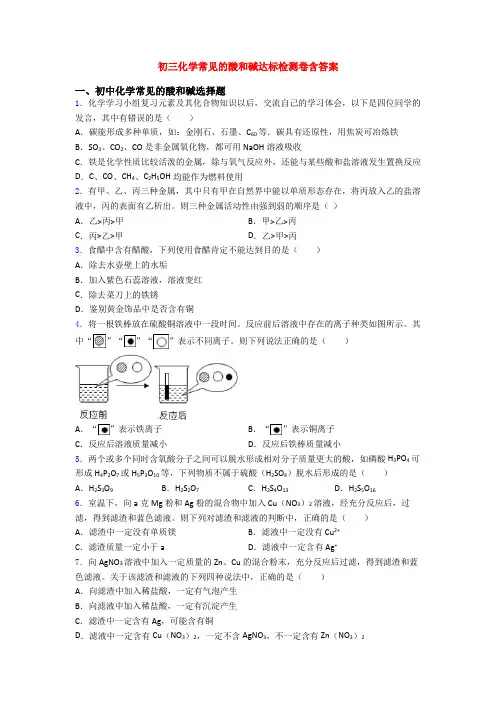 初三化学常见的酸和碱达标检测卷含答案